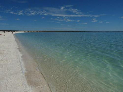 Shell Beach